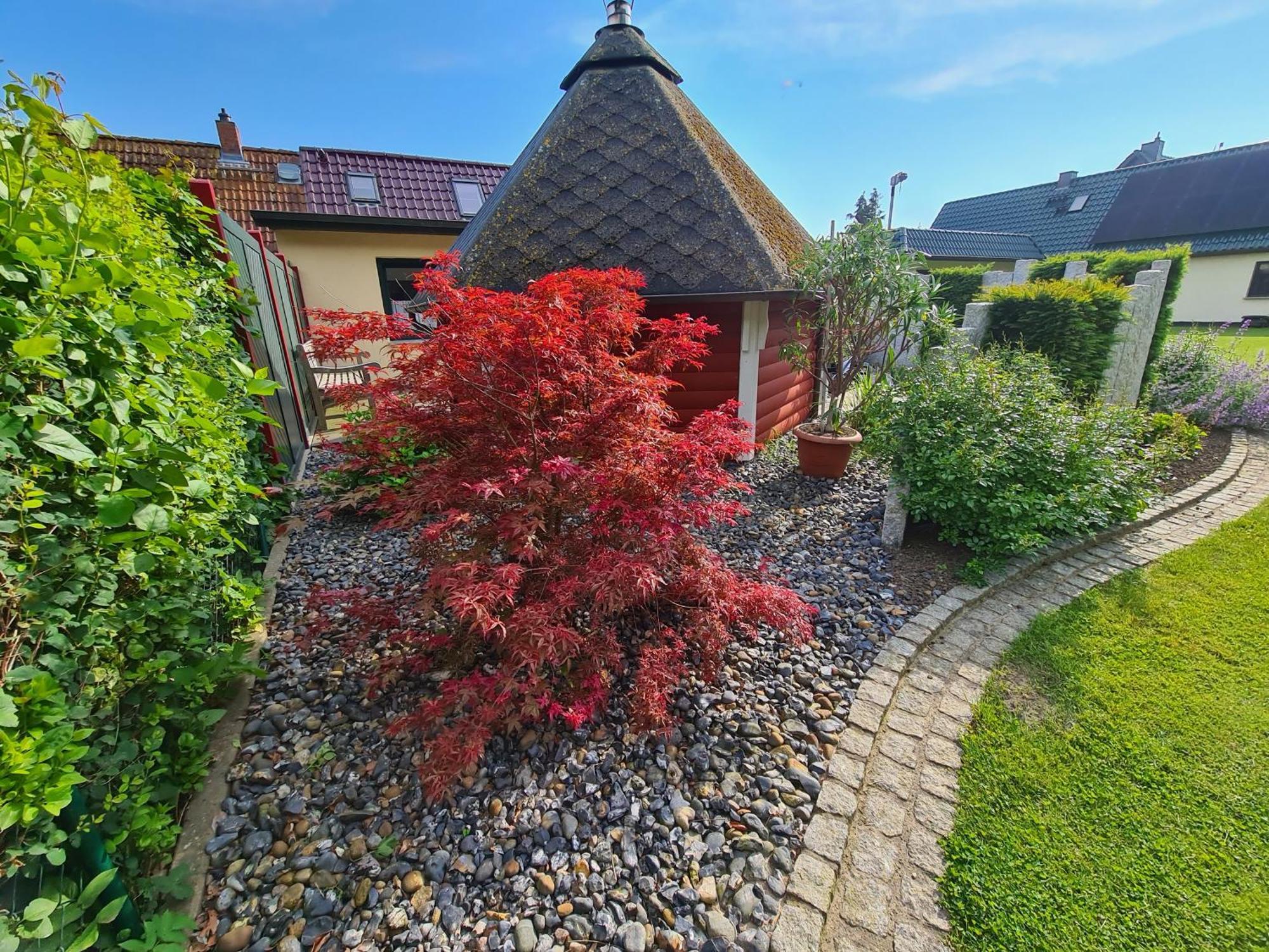Ferienhaus Saupe Schaprode Exterior photo